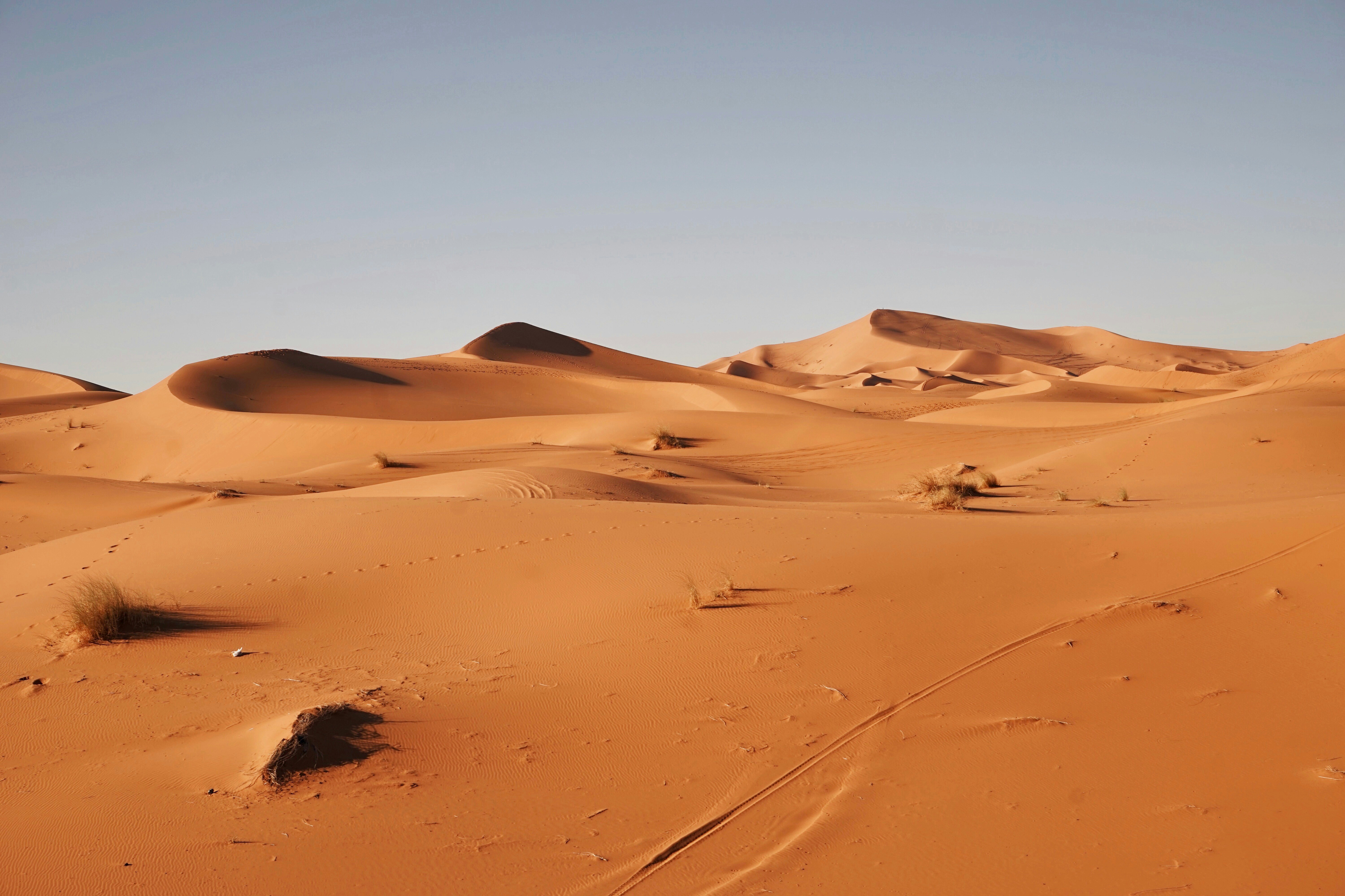 Sahara desert Marathon des Sables