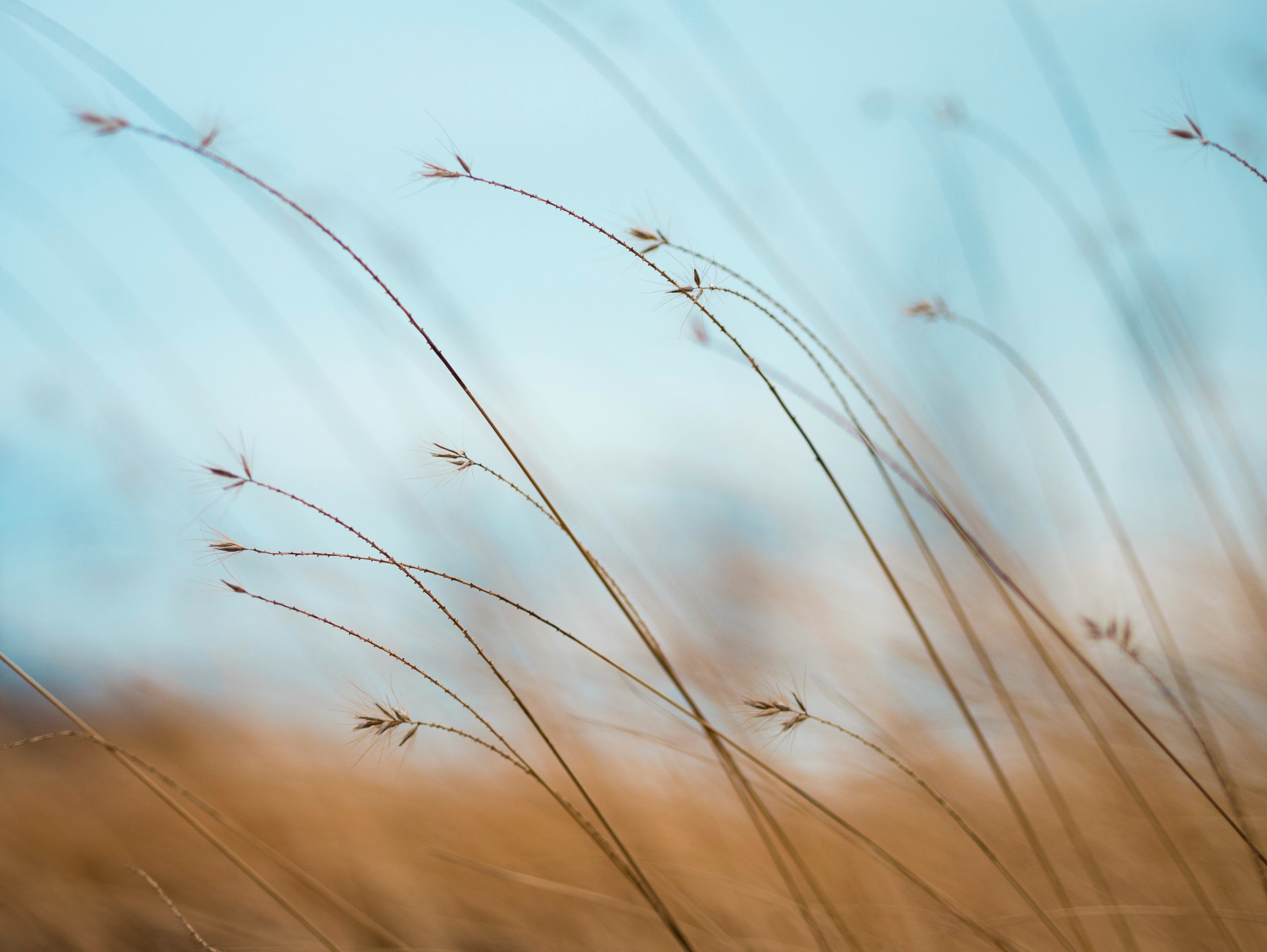 Vipassana meditation retreat